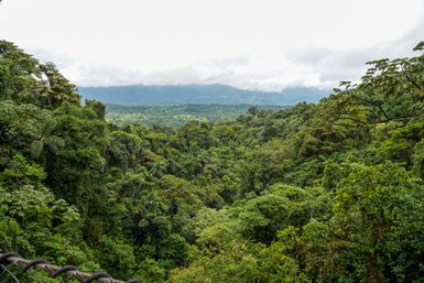 Panorama der grünen Landschaft vom Mistico Arenal Hanging Bridges Park bei La Fortuna – Costa Rica Familienreise