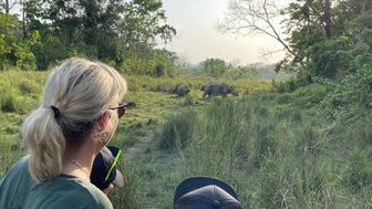 Eine Person mit blonden Haaren beobachtet zwei Nashörner in der Wildnis des Chitwan-Nationalparks in Nepal.