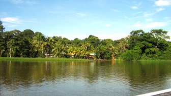 Ruhiger Kanal umgeben von dichtem Grün im Tortuguero Nationalpark – Costa Rica Familienreise
