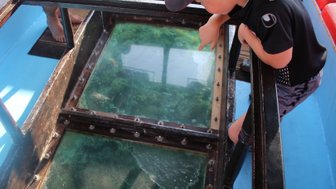 Ausflug mit Glasbodenboot - Jordanien Reise mit Kindern