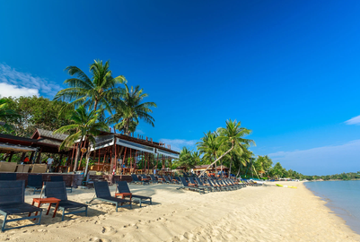 Ein sonniger Strand mit Liegen und Palmen, die sanft im Wind wiegen, unter einem strahlend blauen Himmel.