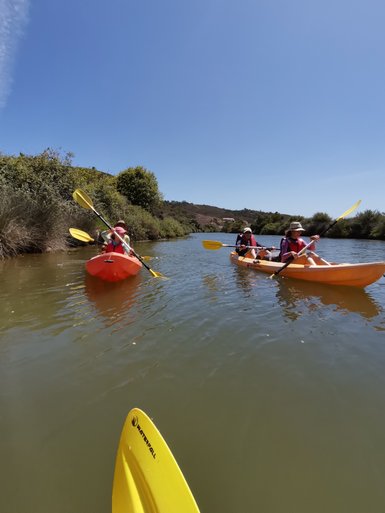 Drei Personen paddeln fröhlich in Kajaks auf einem ruhigen Gewässer, umgeben von üppigem Grün und klarem Himmel.
