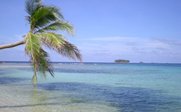 Eine Palme neigt sich über das klare, türkisfarbene Wasser, während eine kleine Insel in der Ferne sichtbar ist.