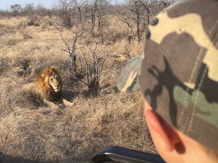 Ein Junge beobachtet einen ruhig sitzenden Löwen in der Savanne – Südafrika Reise mit Kindern