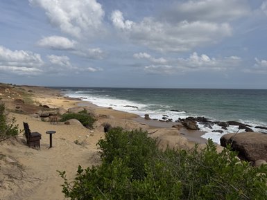 Eine ruhige Küstenlandschaft mit sanften Wellen, die an einen goldenen Sandstrand schlagen, umgeben von Felsen und Pflanzen.