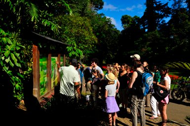 Familie bei einer Wanderung durch den Regenwald im Udawattakele-Schutzgebiet – Sri Lanka mit Kindern