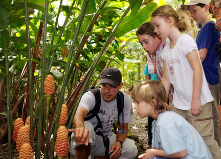 Kinder lernen vom Guide spannende Fakten über die Fauna – Costa Rica Familienreise