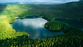 Eine Luftaufnahme eines blauen Sees umgeben von grünen Bäumen