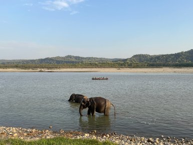 Zwei Elefanten stehen im Wasser eines ruhigen Flusses, umgeben von grünen Hügeln und klarem Himmel.