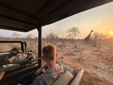 Ein Junge sitzt in einem Jeep und beobachtet eine Giraffe, die vor einem Sonnenuntergang in der Savanne steht.
