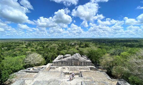 Panoramablick vom Tempel über das endlose grüne Blätterdach des Dschungels in Calakmul – Mexiko Familienreise