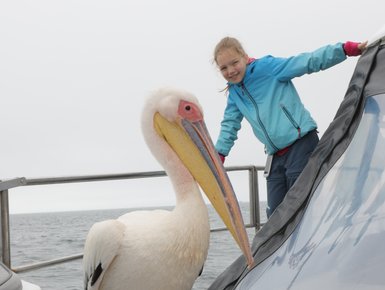 Ein Pelikan steht neben einem Mädchen auf dem Boot - Namibia mit Jugendlichen