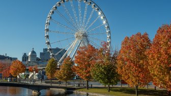 Ein großes Riesenrad erhebt sich über einen malerischen Park mit bunten Herbstbäumen und klarem blauen Himmel.