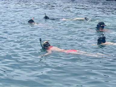 Eine Gruppe von Schnorchlern schwimmt in klarem Wasser, während sie die Unterwasserwelt erkunden.