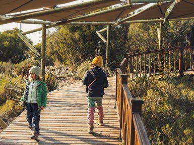 Kinder erkunden eine Holzbrücke in der Buffelsdrift Game Lodge – Südafrika mit Kindern