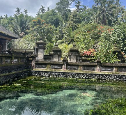 Wasser der heiligen Quellen im Tirta Empul Tempel – Bali mit Kindern