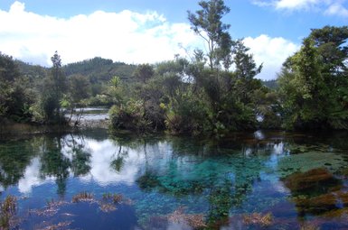 Ein klarer, ruhiger Teich spiegelt die umgebende Natur wider, umgeben von üppigem Grün und sanften Hügeln im Hintergrund.