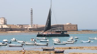 Ein schwarzes Segelboot mit Passagieren fährt durch eine ruhige Bucht, umgeben von vielen kleinen Fischerbooten.