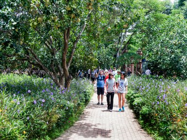 Zwei Frauen spazieren Hand in Hand auf einem gepflasterten Weg, umgeben von bunten Blumen und üppigem Grün.