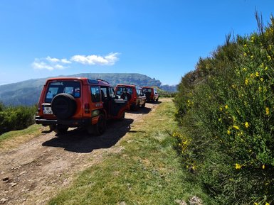 Drei orangefarbene Geländewagen stehen auf einem schmalen Weg, umgeben von grünen Wiesen und gelben Blumen.