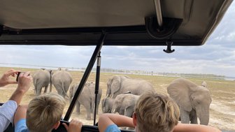 Zwei Kinder beobachten fasziniert eine Herde von Elefanten während einer Jeep-Safari in der afrikanischen Savanne.