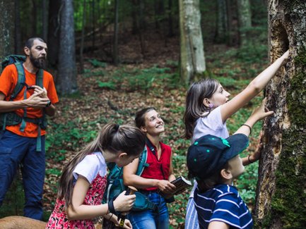 Eine Gruppe von Kindern und Erwachsenen erkundet den Wald, während sie an einem Baum mit einer Höhle interessiert sind.