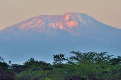 Der majestätische Kilimandscharo erhebt sich über die grüne Landschaft, beleuchtet von sanften Morgenstrahlen.