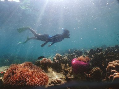 Kinder erkunden bunte Fische und Korallen beim Schnorchel rund um Koh Talu - Thailand mit Kindern