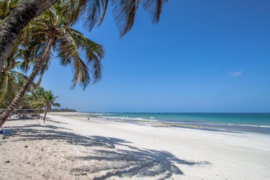 Ein ruhiger Strand mit feinem, weißem Sand und sanften Wellen, umgeben von Palmen unter einem strahlend blauen Himmel.