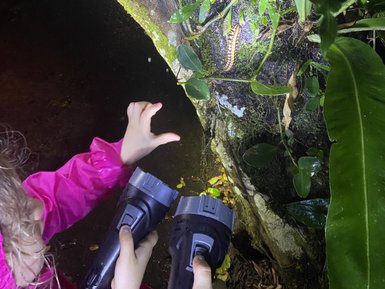 Familie entdeckt nachtaktive Tiere bei einer Wanderung im La Tirimbina Reservat – Costa Rica Familienreise