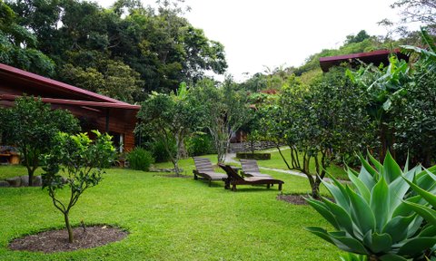 Costa Rica Familienreise mit Kindern - Monteverde - Arco Iris Lodge - Garten