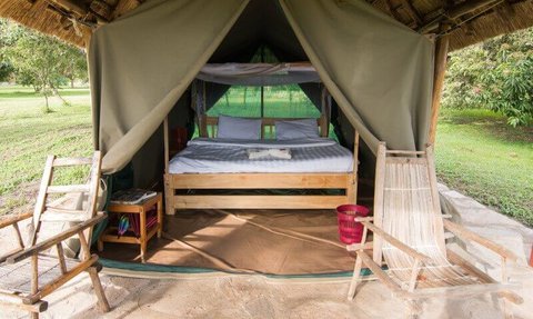Ein gemütliches Zelt mit einem Holzbett und zwei Kissen, umgeben von einer grünen Wiese und einem rustikalen Stuhl.