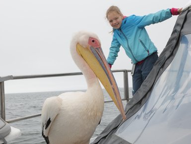 Ein Pelikan steht neben einem Mädchen auf dem Boot - Namibia mit Jugendlichen