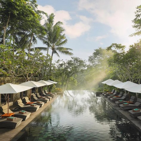 Ein luxuriöser Poolbereich mit Liegen und Sonnenschirmen, umgeben von üppigem Grün und sanftem Licht der Morgensonne.