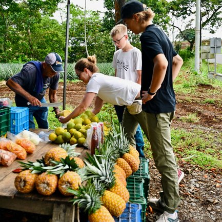 Am Straßenrand stehen mehrere frische Ananas und andere Früchte auf einem Holztisch, während Menschen miteinander interagieren.