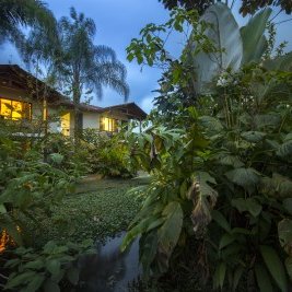Ein ruhiger Abendblick auf ein Haus, umgeben von üppigem Grün und Palmen, mit warmem Licht aus den Fenstern.
