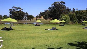 Grüne Wiesen und entspannte Atmosphäre auf einem Weingut in Stellenbosch – Garden Route Reise mit Kindern