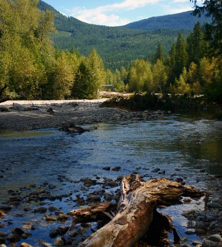 Ein ruhiger Fluss fließt durch eine grüne Landschaft, umgeben von hohen Bergen und Bäumen, die im Sonnenlicht leuchten.