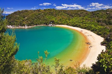 Eine malerische Bucht mit klarem, türkisfarbenem Wasser und feinem Sandstrand, umgeben von üppigem Grün.