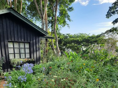 Ein schwarzes Holzhaus steht neben einem üppigen Garten voller bunter Blumen und grüner Pflanzen unter einem blauen Himmel.