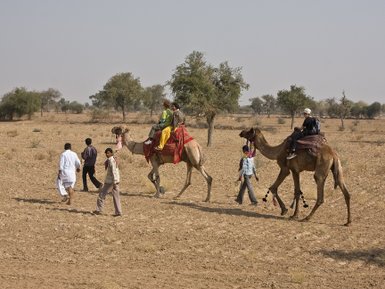 Eine Gruppe von Menschen reitet auf Kamelen durch eine trockene, offene Landschaft mit vereinzelten Bäumen im Hintergrund.
