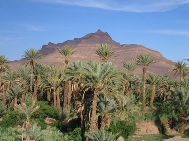 Landschaft mit Palmen und Bergen rund um Agdz – Familienreise nach Marokko