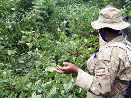 Eine Person in militärischer Kleidung steht in einem dichten, grünen Wald und zeigt auf Pflanzen in der Umgebung.