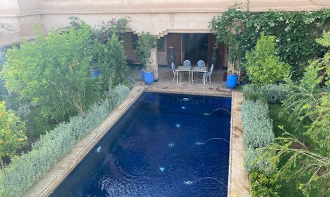 Ein klarer Pool glänzt in der Sonne, umgeben von üppigem Grün und komfortablen Gartenmöbeln für entspannende Stunden.