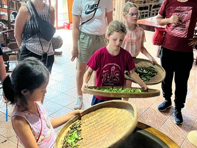 Kinder lernen in Guilin, wie frisch gepflückte Teeblätter traditionell verarbeitet werden – China mit Kindern
