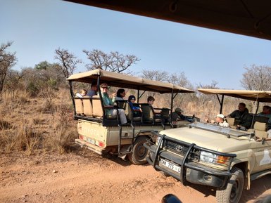 Mehrere Familien sitzen in offenen Safari-Jeeps und erkunden das Entabeni Game Reserve – Südafrika Reise mit Kindern