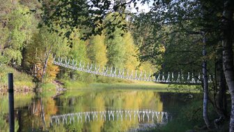 Eine schmale Hängebrücke schwingt über einen ruhigen See, umgeben von buntem Laub und grünen Bäumen im Herbstlicht.