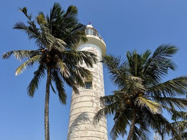 Ein hoher Leuchtturm steht majestätisch zwischen Palmen unter einem strahlend blauen Himmel, umgeben von üppigem Grün.