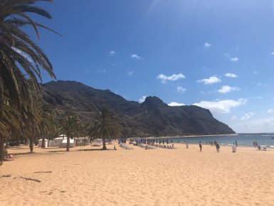 Ein sonniger Strand mit goldfarbenem Sand, umgeben von Palmen und majestätischen Bergen im Hintergrund.