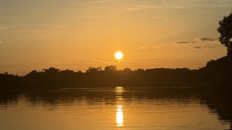 Ein wunderschöner Sonnenuntergang über dem Amazonas, mit goldenem Licht, das die ruhige Wasseroberfläche spiegelt.